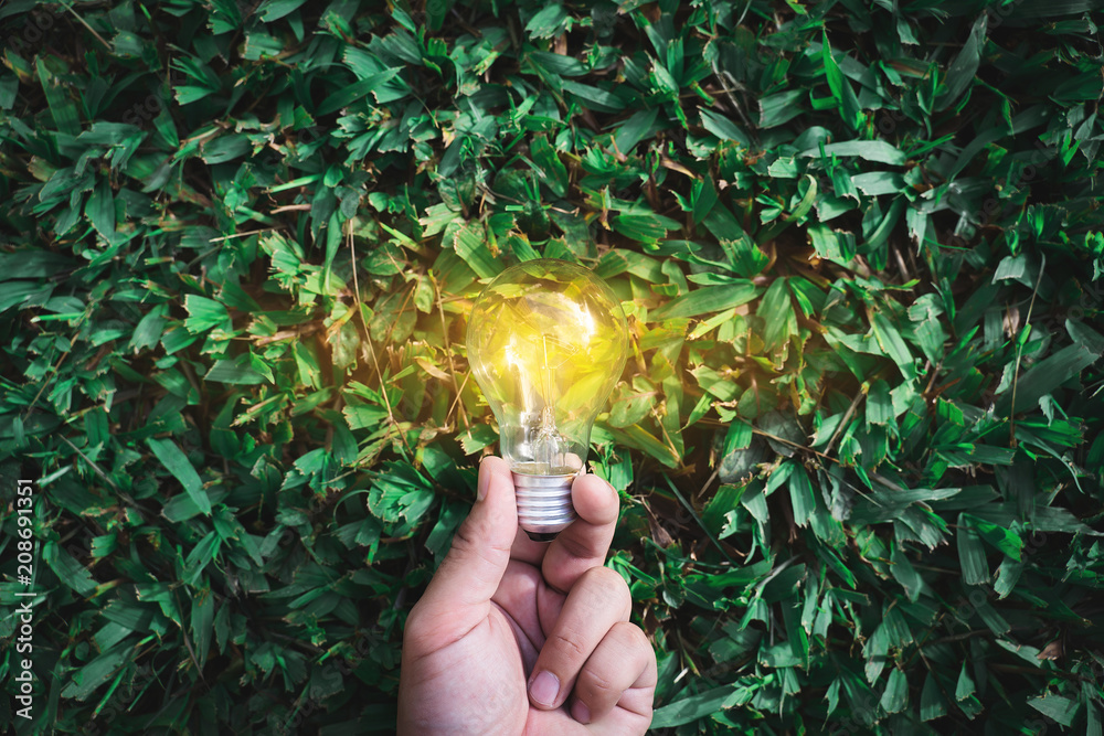 Hand holding a glowing light bulb over green grass